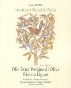 2009 Scricciolo tra rami di ulivo POLLA NICOLO'